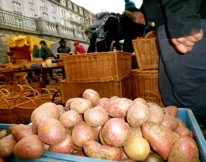 Pots & Baskets; Farmer's Market, Prague.